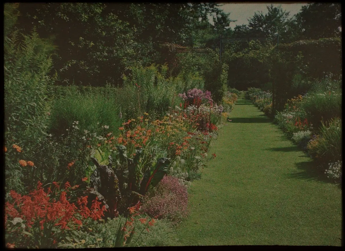 garden path lined with flower borders