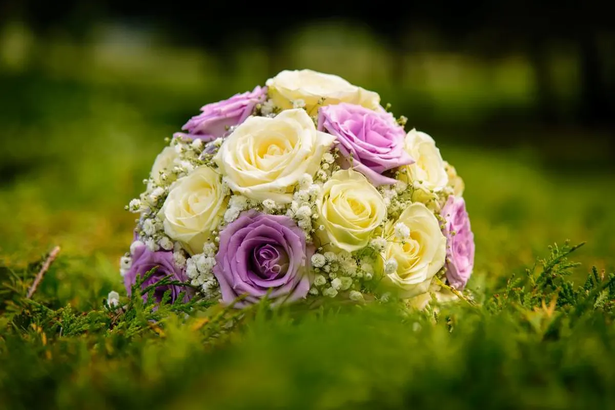 bouquet of pale roses on grass