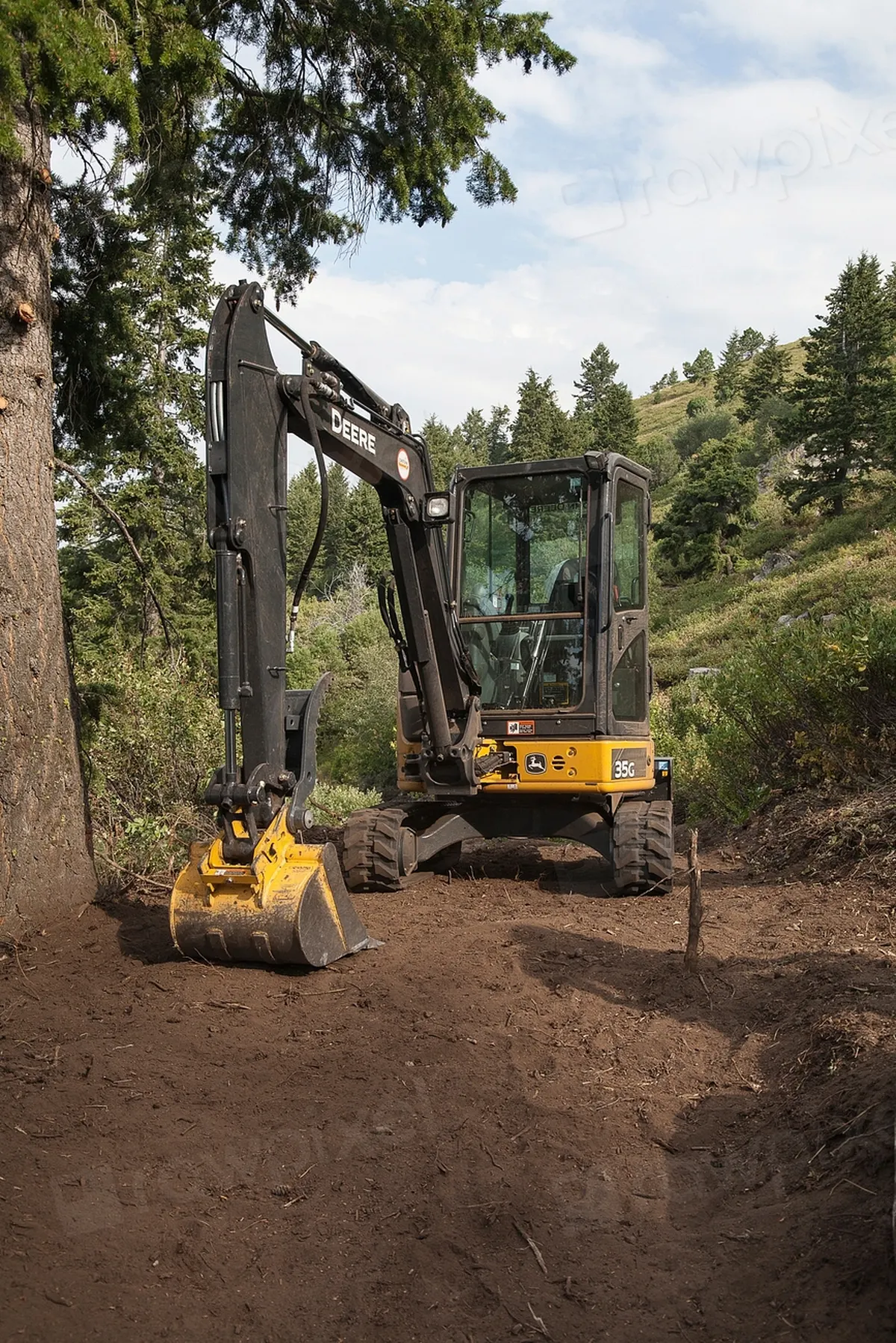 small excavator clearing a wooded lot