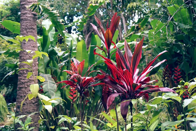Tropical plantings at a home in Old Naples