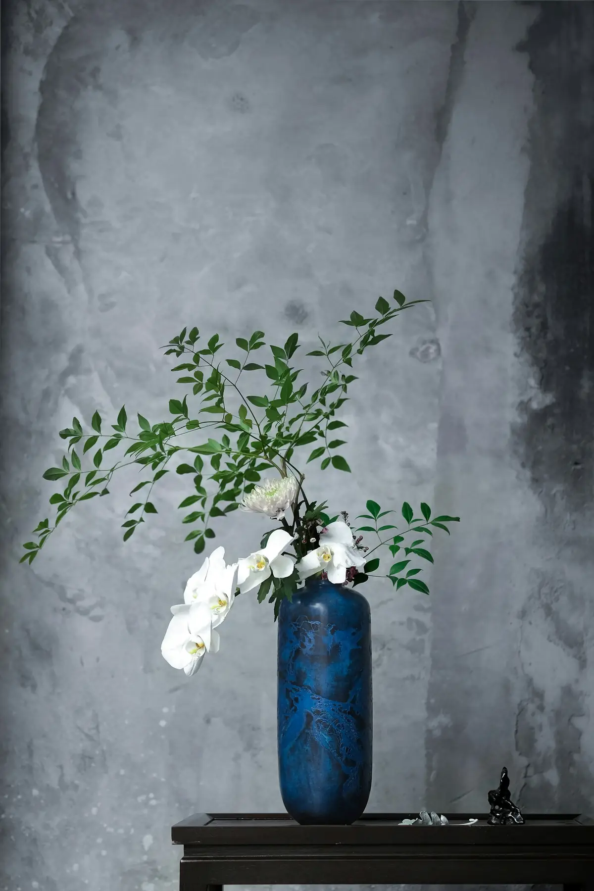white orchids in a cobalt vase against a plaster wall